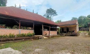 Guest House & Resto – Jambu-Licin, Banyuwangi