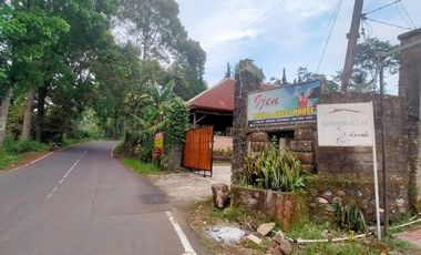 Guest House & Resto – Jambu-Licin, Banyuwangi