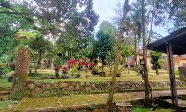 Guest House & Resto – Jambu-Licin, Banyuwangi