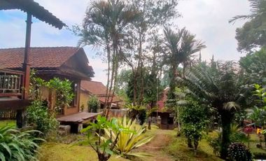 Guest House & Resto – Jambu-Licin, Banyuwangi