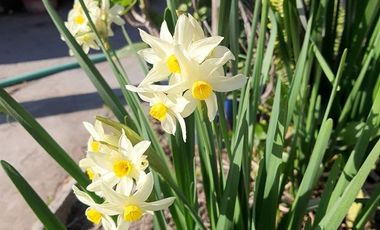 Arriendo de Gran Casa Familiar con Dos Departamentos Independientes en La Calera!