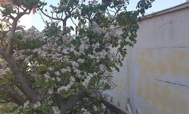 Arriendo de Gran Casa Familiar con Dos Departamentos Independientes en La Calera!