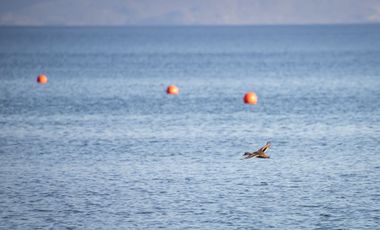 Parcela de 5000m2 con vista al Lago en Exclusivo Condominio con acceso a Lago Ranco, Futrono