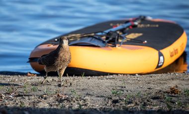 Parcela de 5000m2 con vista al Lago en Exclusivo Condominio con acceso a Lago Ranco, Futrono