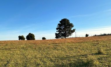 PARCELAS EN LA UNION DE .5000M2 Y  10.000M2.