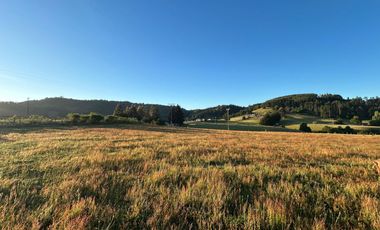 PARCELAS EN LA UNION DE .5000M2 Y  10.000M2.