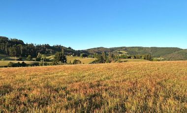 PARCELAS EN LA UNION DE .5000M2 Y  10.000M2.