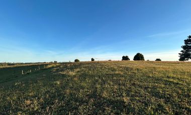 PARCELAS EN LA UNION DE .5000M2 Y  10.000M2.