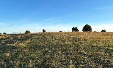 PARCELAS EN LA UNION DE .5000M2 Y  10.000M2.