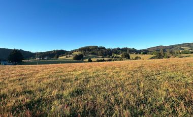 PARCELAS EN LA UNION DE .5000M2 Y  10.000M2.