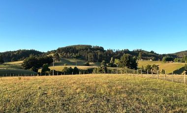 PARCELAS EN LA UNION DE .5000M2 Y  10.000M2.