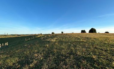 PARCELAS EN LA UNION DE .5000M2 Y  10.000M2.