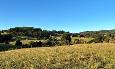 PARCELAS EN LA UNION DE .5000M2 Y  10.000M2.