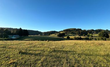 PARCELAS EN LA UNION DE .5000M2 Y  10.000M2.