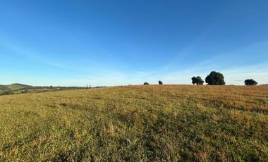 PARCELAS EN LA UNION DE .5000M2 Y  10.000M2.