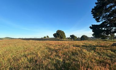 PARCELAS EN LA UNION DE .5000M2 Y  10.000M2.