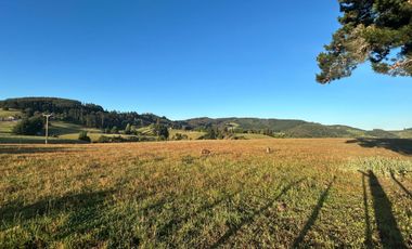 PARCELAS EN LA UNION DE .5000M2 Y  10.000M2.