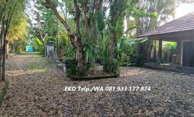 Dijual MURAH Tanah dan Bangunan diKota Mataram