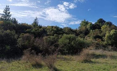 SE VENDE PARCELA DE 1 HECTÁREA SECTOR EL MEMBRILLO LAJA REGION BIO BIO