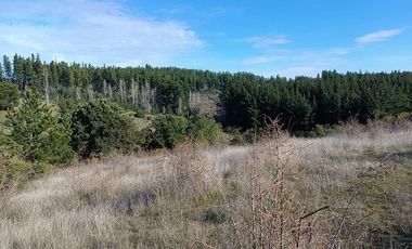 SE VENDE PARCELA DE 1 HECTÁREA SECTOR EL MEMBRILLO LAJA REGION BIO BIO