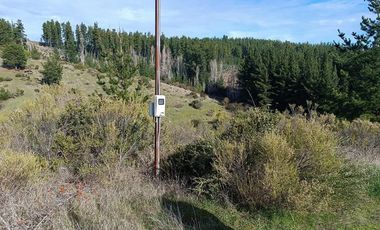 SE VENDE PARCELA DE 1 HECTÁREA SECTOR EL MEMBRILLO LAJA REGION BIO BIO