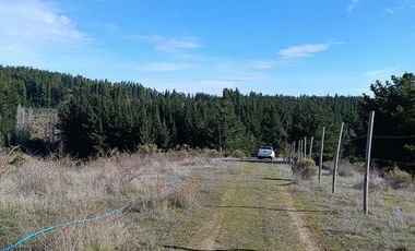 SE VENDE PARCELA DE 1 HECTÁREA SECTOR EL MEMBRILLO LAJA REGION BIO BIO