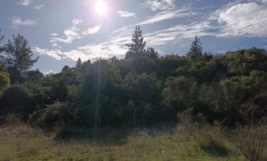 SE VENDE PARCELA DE 1 HECTÁREA SECTOR EL MEMBRILLO LAJA REGION BIO BIO