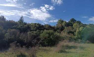 SE VENDE PARCELA DE 1 HECTÁREA SECTOR EL MEMBRILLO LAJA REGION BIO BIO