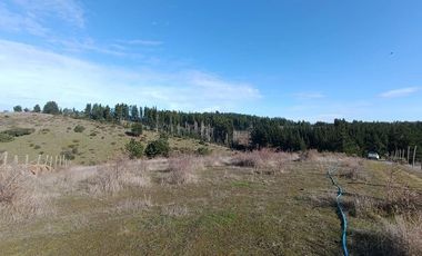 SE VENDE PARCELA DE 1 HECTÁREA SECTOR EL MEMBRILLO LAJA REGION BIO BIO
