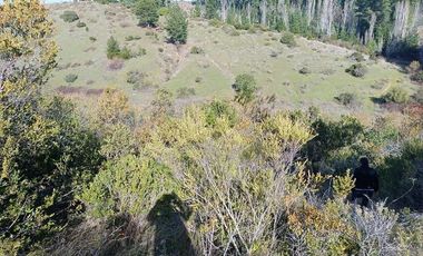 SE VENDE PARCELA DE 1 HECTÁREA SECTOR EL MEMBRILLO LAJA REGION BIO BIO