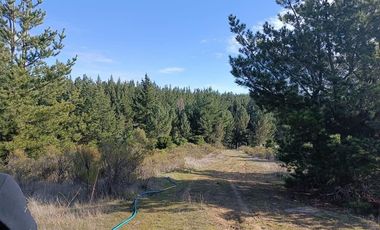 SE VENDE PARCELA DE 1 HECTÁREA SECTOR EL MEMBRILLO LAJA REGION BIO BIO