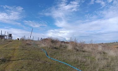 SE VENDE PARCELA DE 1 HECTÁREA SECTOR EL MEMBRILLO LAJA REGION BIO BIO