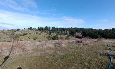 SE VENDE PARCELA DE 1 HECTÁREA SECTOR EL MEMBRILLO LAJA REGION BIO BIO