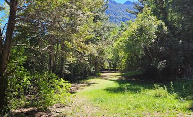 Hermosa Parcela de 5400m2 frente a playa Epulafquén, Lago Ranco, Riñinahue