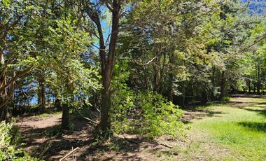 Hermosa Parcela de 5400m2 frente a playa Epulafquén, Lago Ranco, Riñinahue