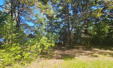 Hermosa Parcela de 5400m2 frente a playa Epulafquén, Lago Ranco, Riñinahue