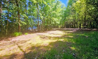 Hermosa Parcela de 5400m2 frente a playa Epulafquén, Lago Ranco, Riñinahue