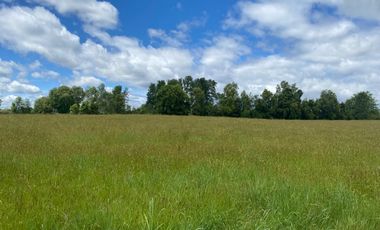 Se vende terreno en sector Runca Máfil