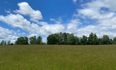 Se vende terreno en sector Runca Máfil