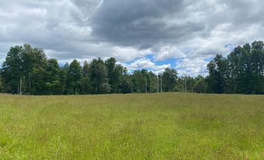 Se vende terreno en sector Runca Máfil