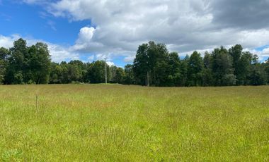 Se vende terreno en sector Runca Máfil