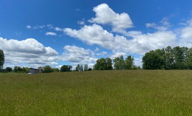 Se vende terreno en sector Runca Máfil