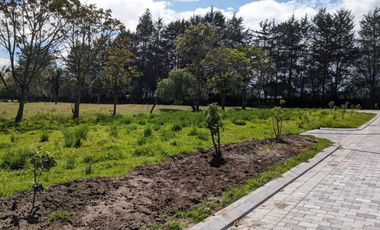 Venta de Terreno Checa Dentro de Urbanización Familiar, Ecuador