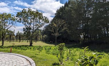 Venta de Terreno Checa Dentro de Urbanización Familiar, Ecuador