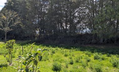 Venta de Terreno Checa Dentro de Urbanización Familiar, Ecuador