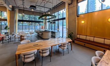 departamento nuevo renta Expo Guadalajara Chapalita Mariano Otero Guadalalaja