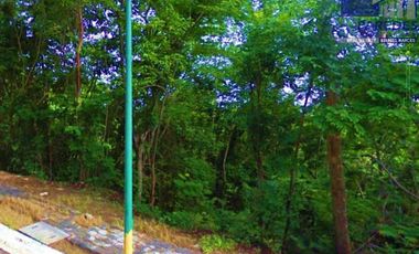 Venta de  Terreno 940 m2 Residencial Campo de Golf Ixtapa T505