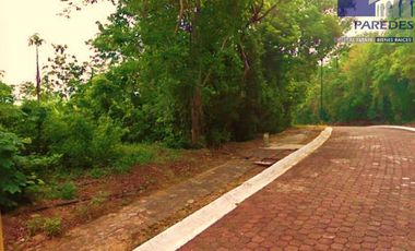 Venta de  Terreno 940 m2 Residencial Campo de Golf Ixtapa T505