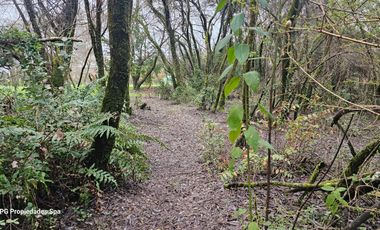 HERMOSA CASA DE UN PISO ORILLA DE RIO SECTOR ARIQUE