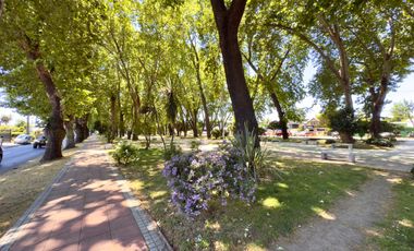 Se arrienda casa en Alameda, 4 piezas, 3 baños, 4 estacionamientos, Curicó